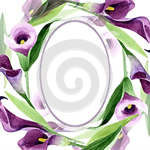 Watercolor purple callas flower. Floral botanical flower. Frame border ornament square.