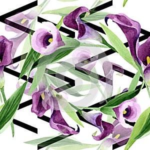 Watercolor purple callas flower. Floral botanical flower. Seamless background pattern.