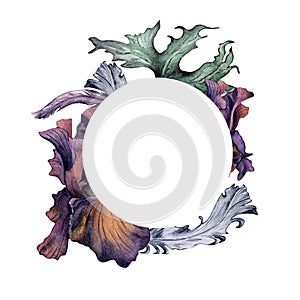 Watercolor purple Iris flower and feather isolated on white. Gothic floral circle frame hand drawn. Dark botanical