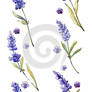 Watercolor purple lavender flowers. Floral botanical flower. Seamless background pattern.