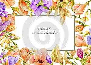 Watercolor purple and peach freesia flowers frame