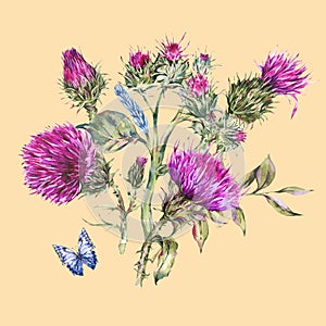 Watercolor purple thistle, blue butterflies, wild flowers illustration, meadow herbs