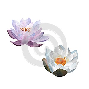 Watercolor purple waterlily Aquatic flower spa yoga logo Mother day Women's day 2024 birthday Botany