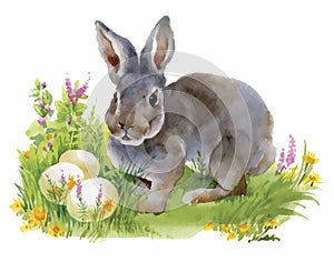 Watercolor rabbits in green grass vector illustration