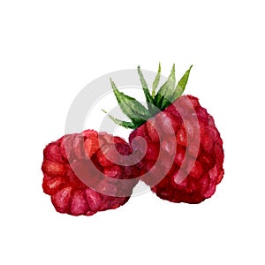 Watercolor raspberry isolated