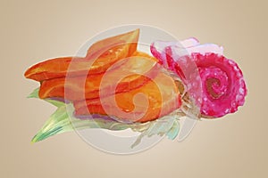 Watercolor raw salmon and tako vector photo