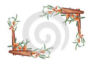 Watercolor rectangle frame with branches of sea buckthorn, cinnamons. Hand drawn illustration isolated on white background. For