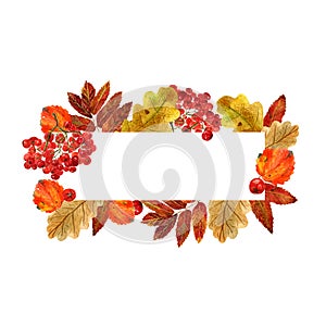 Watercolor rectangular frame with autumn leaves and berries. Background with fall foliage, rowanberry and  place for text photo