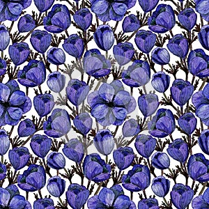 Watercolor red anemone flower pattern. Hand painted blue flowers on white background. Summer floral design for wedding