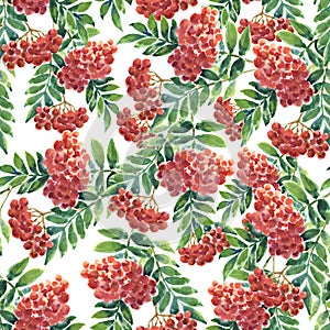 Watercolor red berry with leaves. Illustration for decor.
