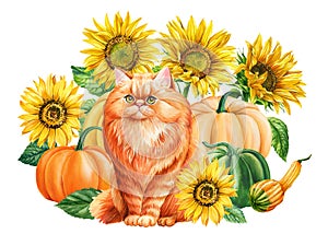 Watercolor red cat, pumpkin, sunflowers on white background, Autumn postcard with animal, flowers. Cute ginger kittens
