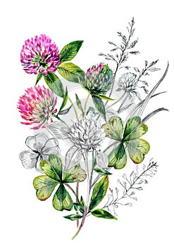 Watercolor Red Clover Bouquet Illustration