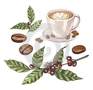 Watercolor of red coffee arabica beans on branch with berries and cup latte. Hand-drawn illustration isolated on white