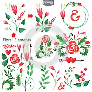 Watercolor red flowers,branshes,floral elements