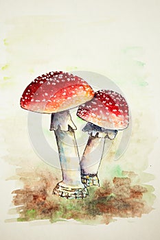 Watercolor of the red fly agarics. Poisonous toxic mushrooms on green and brown background. Handmade watercolor. Red fly agarics