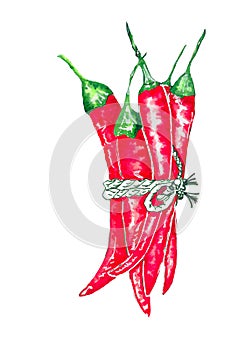 Watercolor red hot spicy peppers isolated on white background