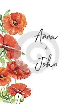 Watercolor red poppies and greenery leaves frame on white background. Hand painted summer floral border, botanical illustration
