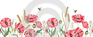 Watercolor red poppies seamlees border, hand drawn floral illustration, red wildflowers isolated on a white background.