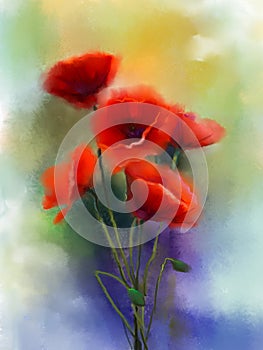 Watercolor red poppy flowers painting