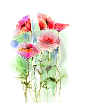 Watercolor red poppy flowers painting.