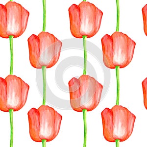 Watercolor red Poppy seamless pattern. Hand drawn botanical Papaver flower illustration isolated on white background. Bright field