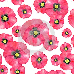 Watercolor red Poppy seamless pattern. Hand drawn botanical Papaver flower illustration isolated on white background. Bright field