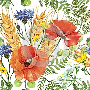 Watercolor red poppy and wheat in a meadow seamless pattern on white background. Wild flowers botanical print