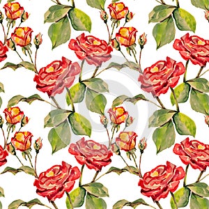 Watercolor Red rose with a bud. Hand painted flowers seamless pattern on a white background.