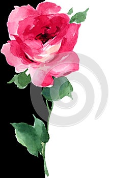 Watercolor red rose floral painting art deco black and white