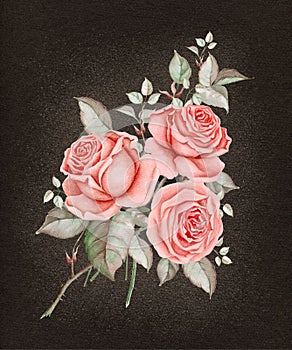 Watercolor red roses on dark brown background.