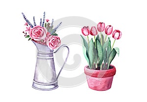 Watercolor red tulips img