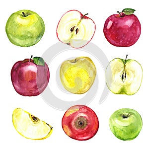 Watercolor red, yellow and green apples set on the white background