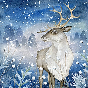 Watercolor Reindeer on Magic Winter Background