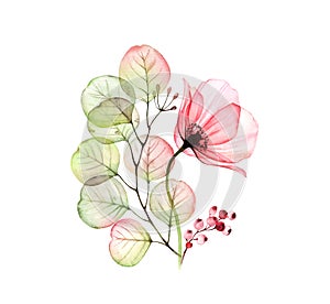 Watercolor Rose arrangement. Big pink flower with eucalyptus leaves and berries isolated on white. Hand painted artwork