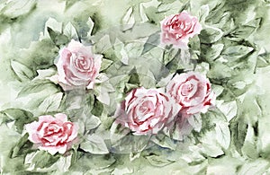 Watercolor rose Bush background.