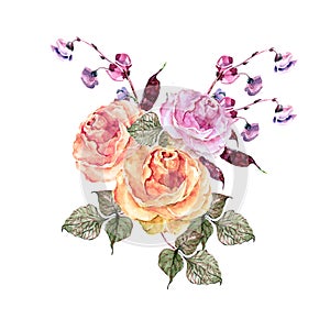 Watercolor rose with a flower haricot. Hand painted bouquet on a white background.