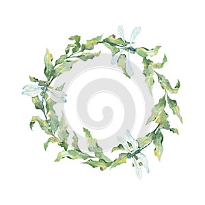 Watercolor round frame with colorful flying dragonflies and twigs of leaves on a white background