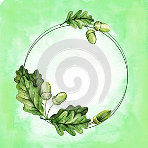 watercolor round frame with oak leaves, seeds, acorns, hand draw illustartion of tree, green colour, forest theme on
