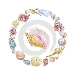 Watercolor round frame of sea shells. Illustration for greeting cards, invitations, and other printing and web projects