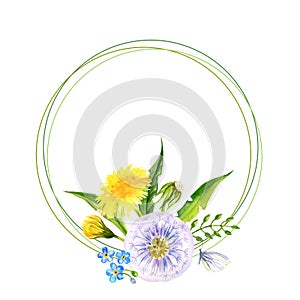 watercolor round frame with summer yellow flowers blow ball and ladybug, hand draw dandelions, forget me not flowers and