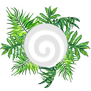 Watercolor round frame tropical leaves and branches isolated on white background!tropical green leaves frame!