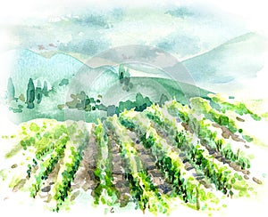 Watercolor Rural Scene with Hills, Vineyard  and Trees photo