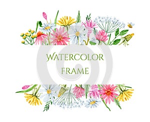 Watercolor rustic border frame with chamomile, coneflower, dandelion, yarrow and bee