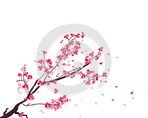 Watercolor sakura frame. Background with blossom cherry tree branches. Hand drawn japanese flowers background