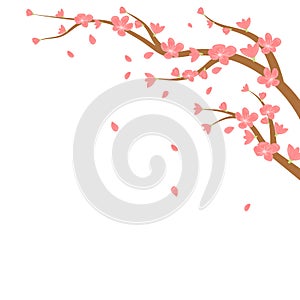 Watercolor sakura frame. Background with blossom cherry tree branches. Hand drawn japanese flowers on white background