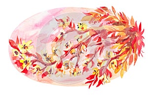 Watercolor sakura on pink sky background. Oval illustration in oriental style