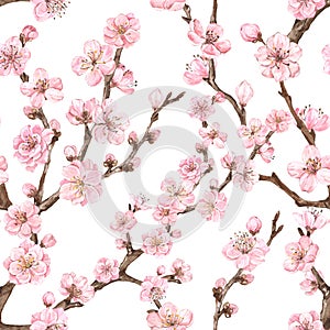 Watercolor sakura seamless pattern. Watercolor cherry blossom print, pink flowers on branches
