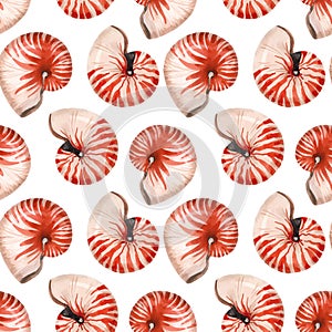 Watercolor sea life nautilus shell vector pattern