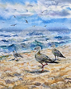 Watercolor sea view. Sandy beach, blue sky, seagulls, nature backgrounds. Template for designs, card, posters.
