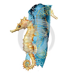 Watercolor seahorse composition. Hand painted underwater animals isolated on white background. Aquatic golden line art